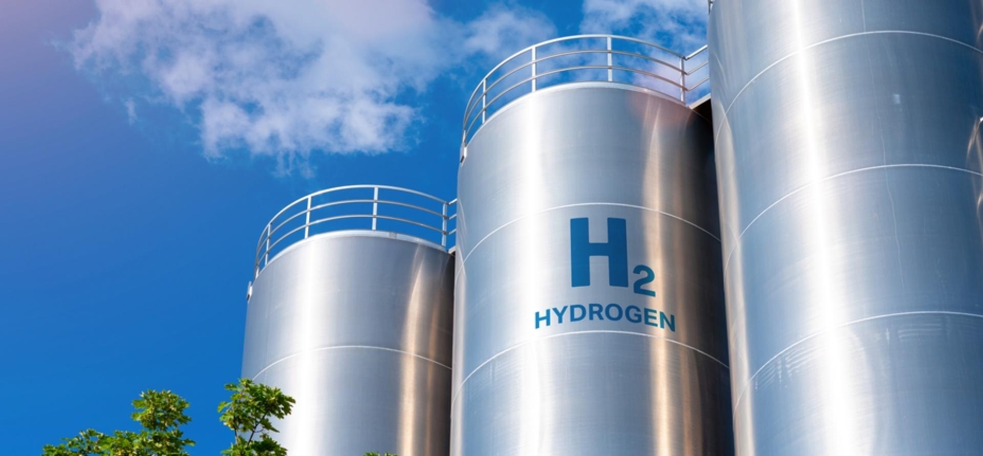 The hydrogen motives: Understanding the 'why' of the hydrogen push